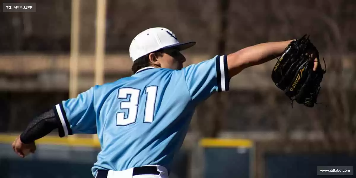 为什么选择我们